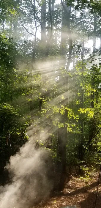 Holly Point Loop 1 Campgrounds 7