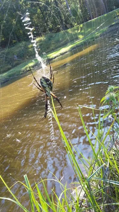 US Choctaw Lake Campground 8