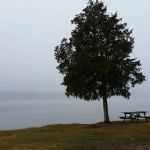Whites Creek Lake Campground