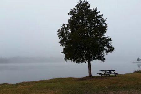 Whites Creek Lake Campground