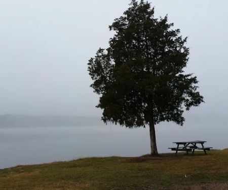 Whites Creek Lake Campground