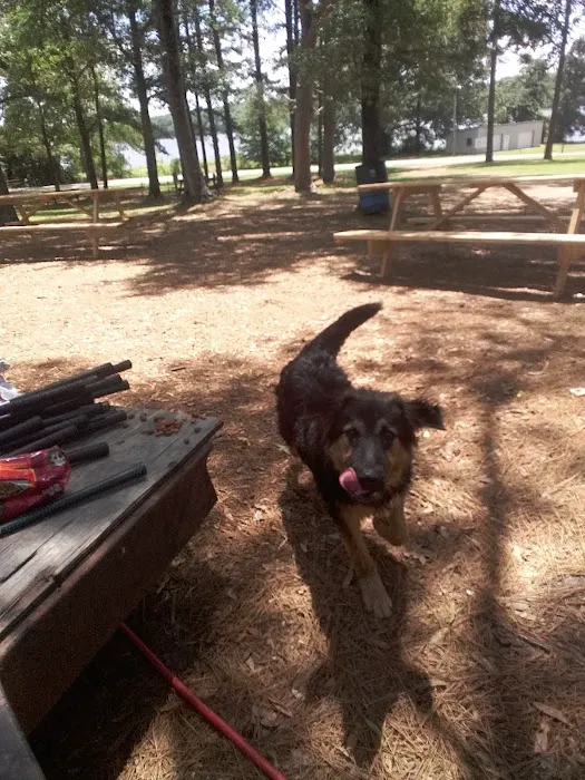 Whites Creek Lake Campground 10
