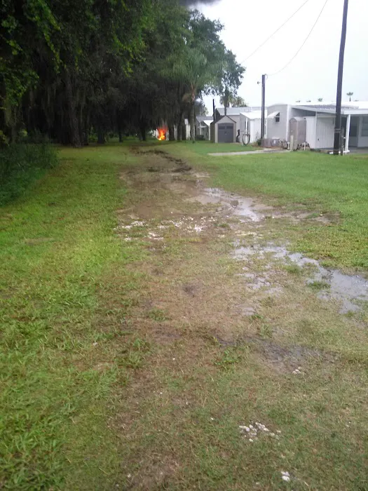 Silver Oaks 8
