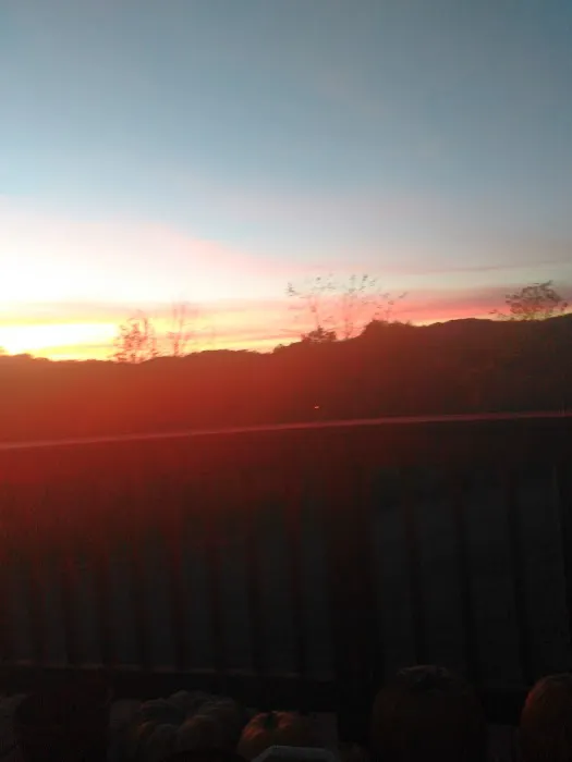 Holly Hill Estates 4