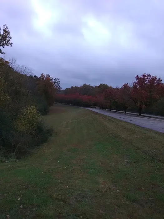 Holly Hill Estates 6