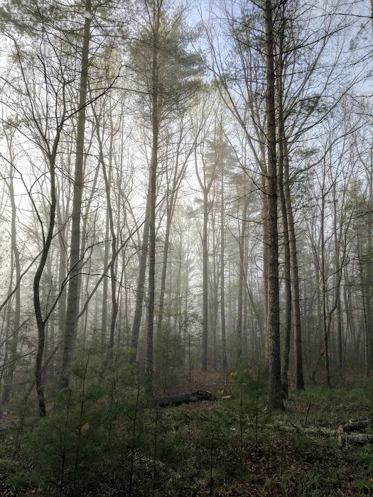 Walnut Flats Campground 5