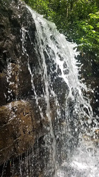 Walnut Flats Campground 9