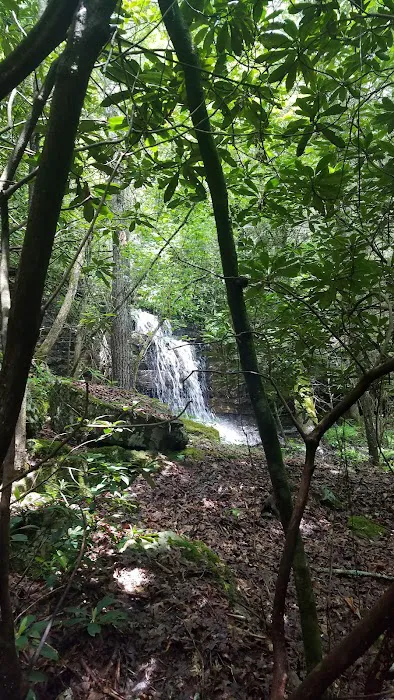 Walnut Flats Campground 8