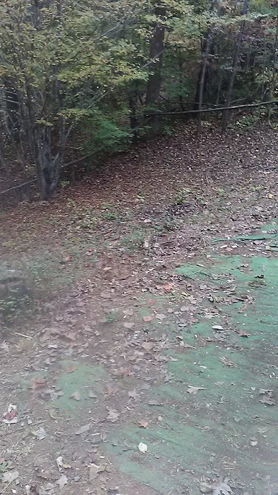 Blue Ridge Campground & Marina 9