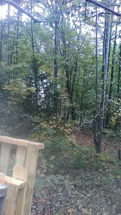 Blue Ridge Campground & Marina 5