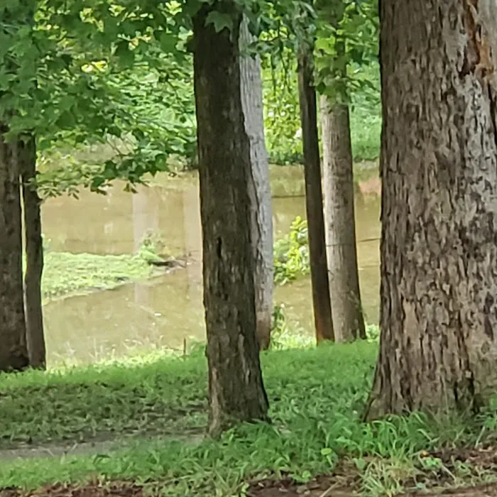 Lazy Cove Campground 9