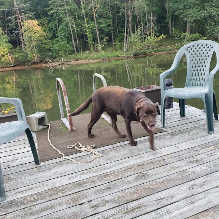 Lazy Cove Campground 10