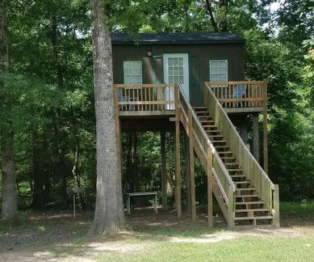 Wooley Swamp Farms