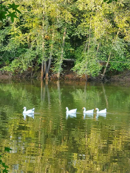 Wooley Swamp Farms 10
