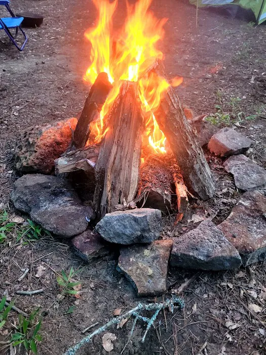 Trent River Campground 6