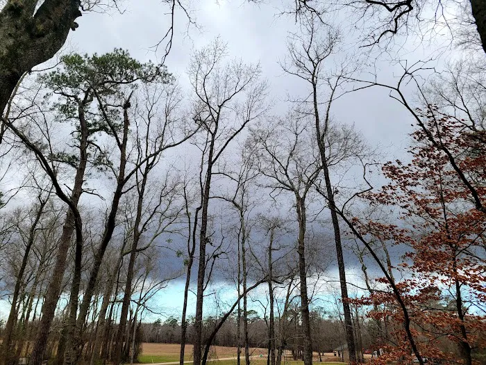 Trent River Campground 3
