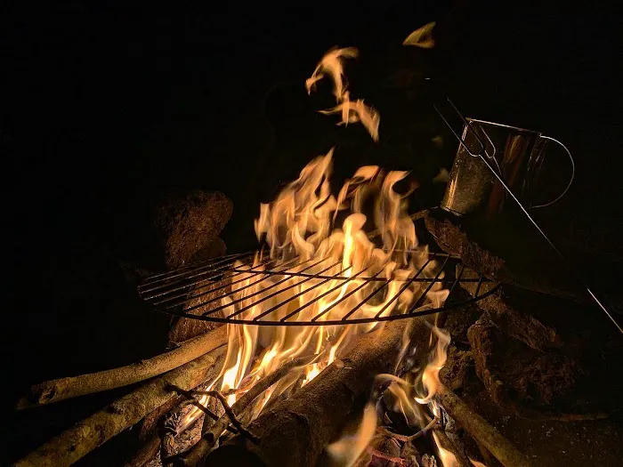 Trent River Campground 1