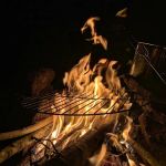 Trent River Campground