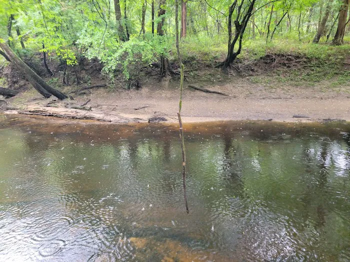 Trent River Campground 5