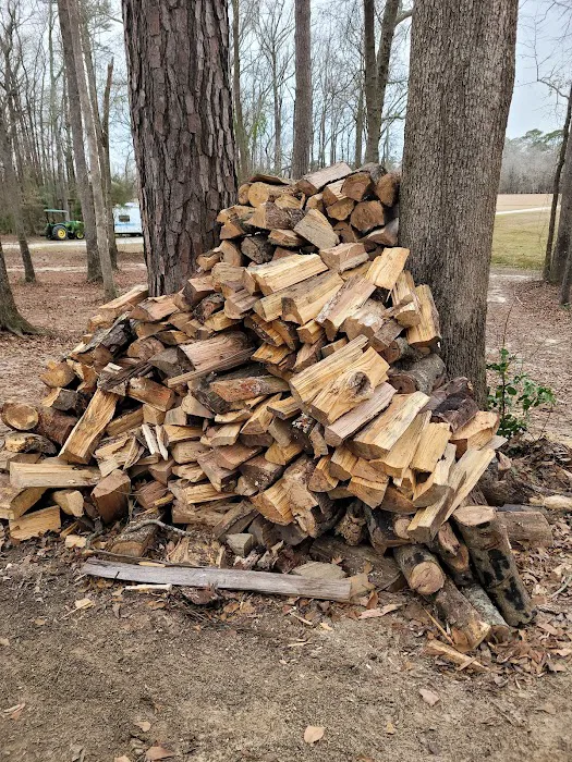 Trent River Campground 8