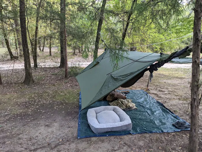 Trent River Campground 10