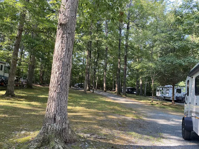 Springhill Park 3