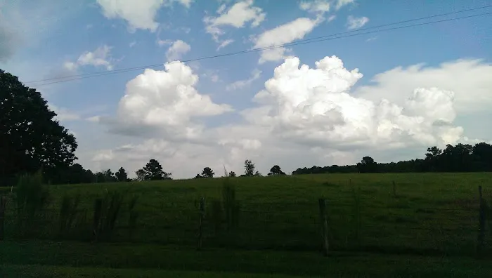 Springhill Park 7