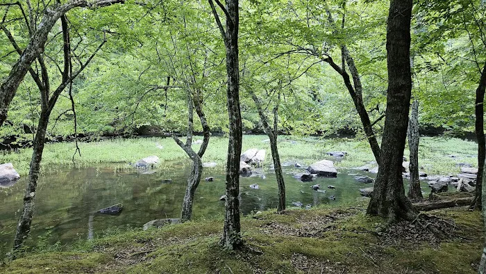 Fanny's Ford Campground 4