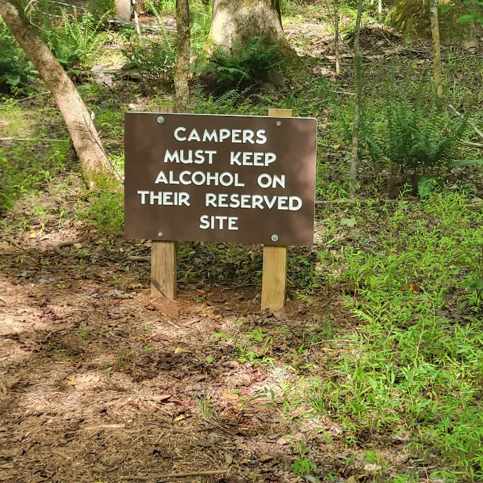 Fanny's Ford Campground 3