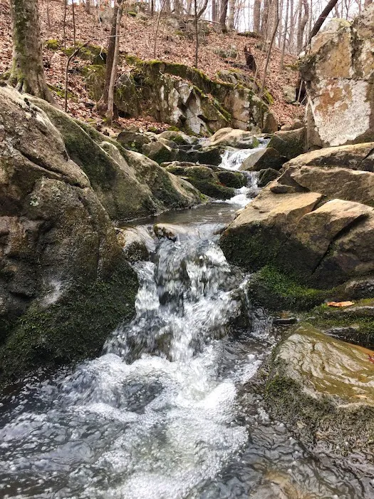 Spruce Pine Campground 6