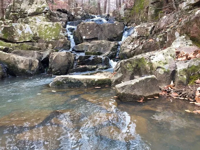 Spruce Pine Campground 4