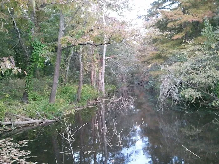 The Gin RV Parking, Camp Sites and Tiny Shack 5