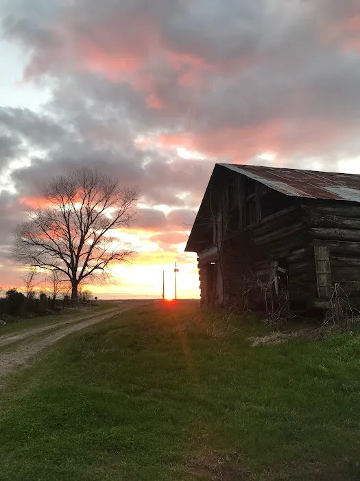 Stovall Gin Company 8
