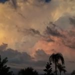 Pinewood Mobile Village