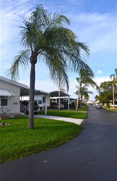 Americana Cove 5
