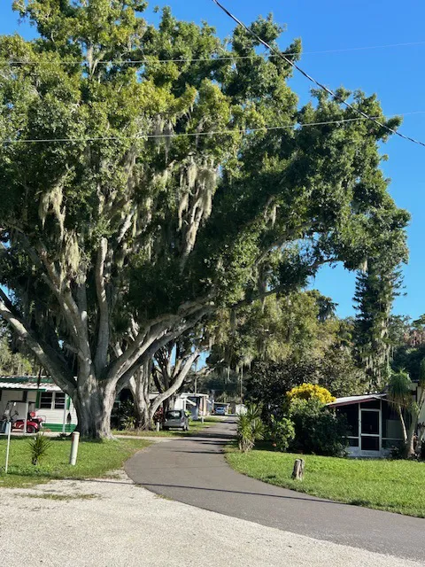 Oak Shores 3