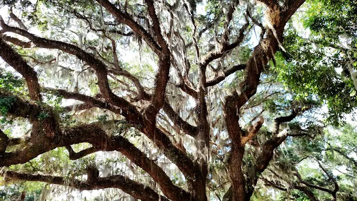 Oak Shores 10