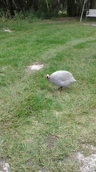 Mallard Mobile Home Park 9