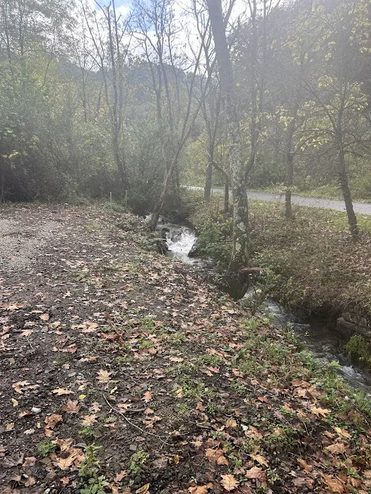 Elkhorn Creek Campground 3