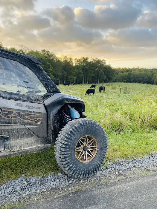 Black Dog Ranch OffRoad Resort 1