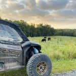 Black Dog Ranch OffRoad Resort