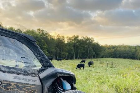 Black Dog Ranch OffRoad Resort