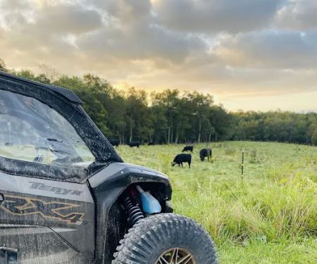 Black Dog Ranch OffRoad Resort