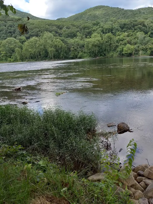Larry's Landing Campground 3