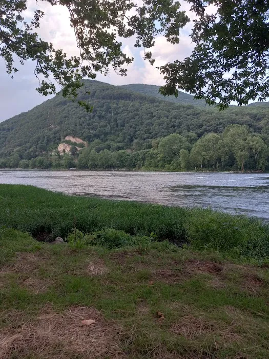 Larry's Landing Campground 9