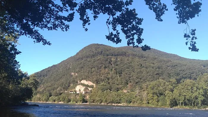 Larry's Landing Campground 5