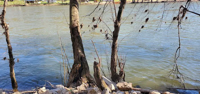 New River Park Campground - Newport Virginia 7