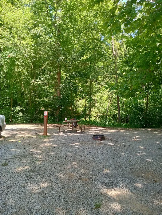 Paradise Lake and Campground 4