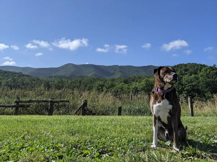 Caldwell Fields Campground 4