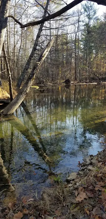 Caldwell Fields Campground 7